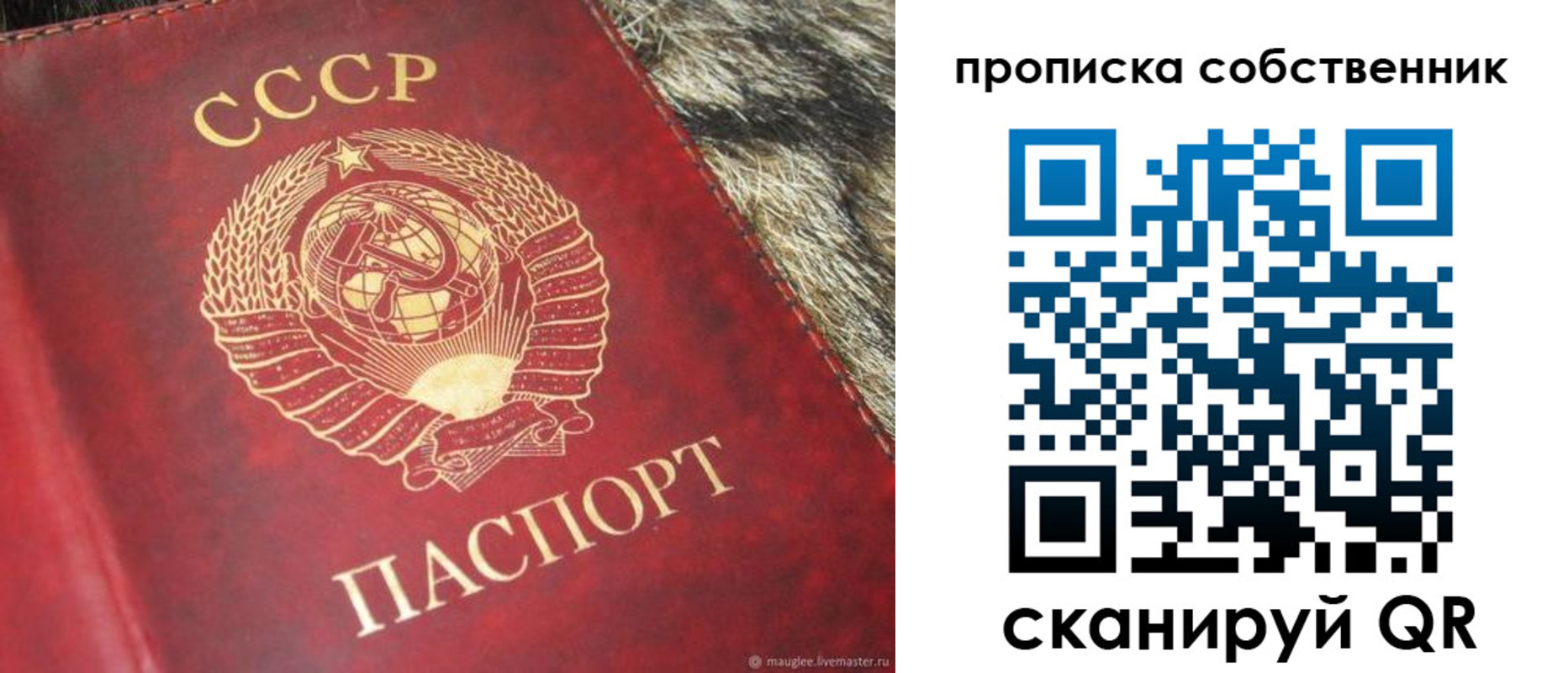 прописка в квартире в Райчихинске